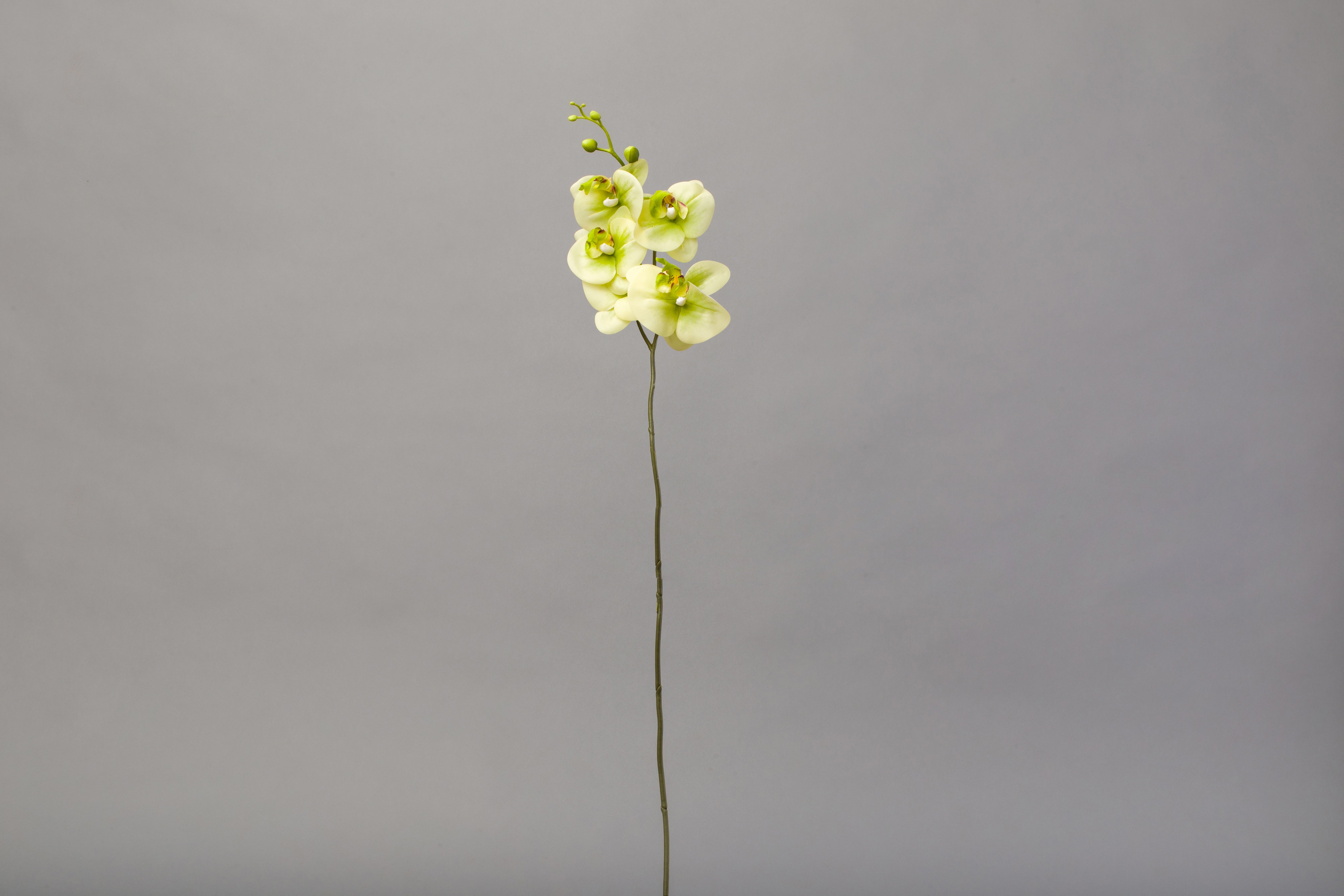 Fir Orhidee artificial