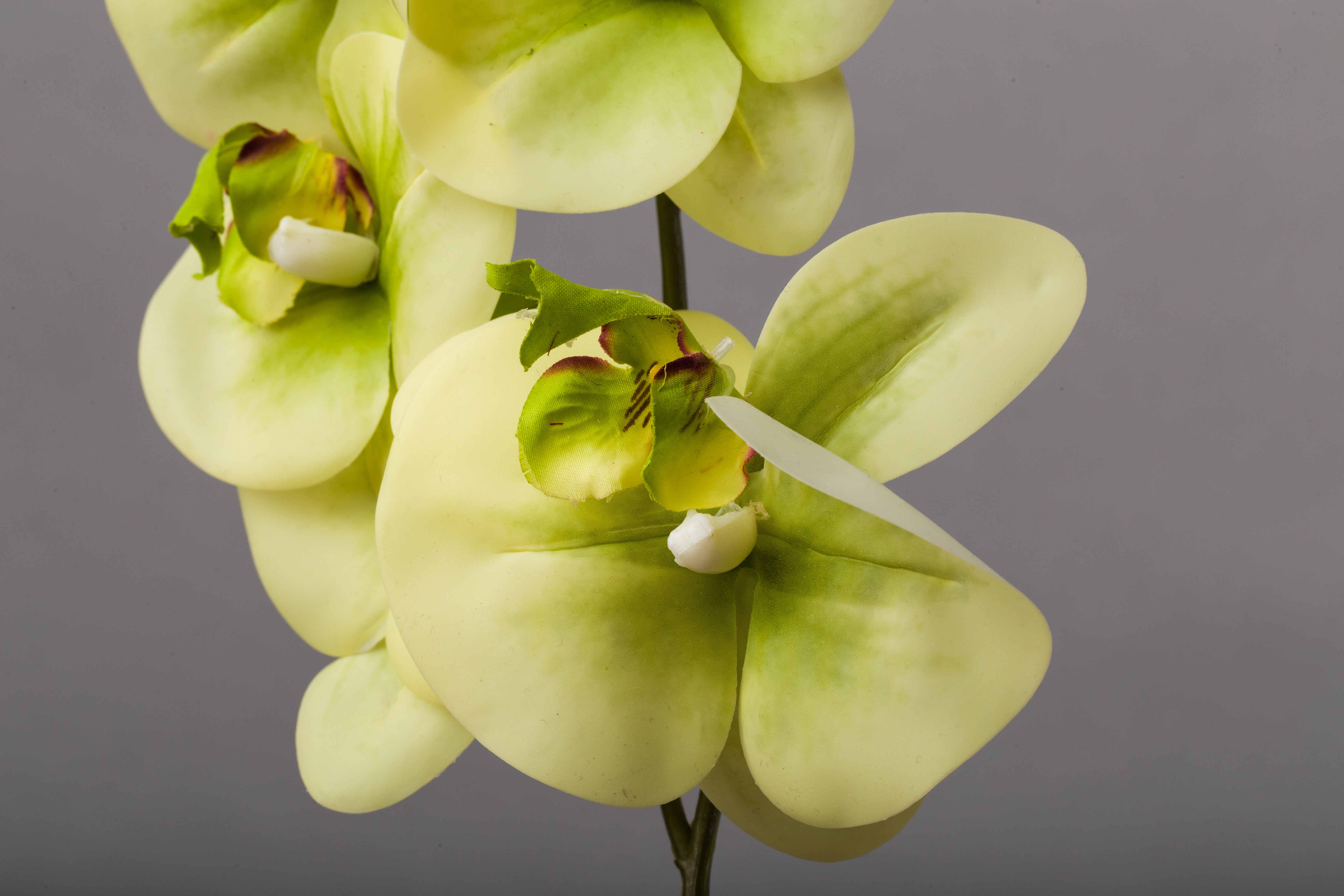 Fir Orhidee artificial